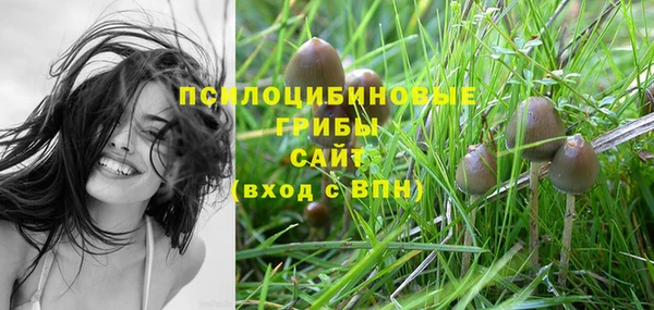 соль курить ск Белокуриха