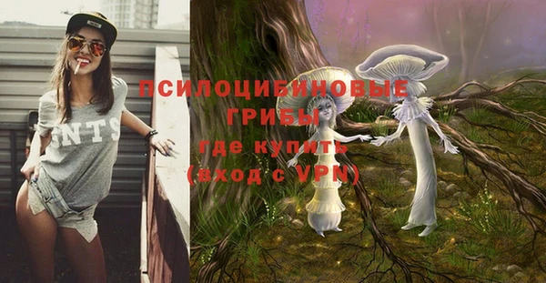 соль курить ск Белокуриха