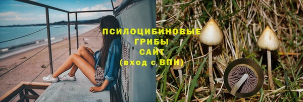 соль курить ск Белокуриха