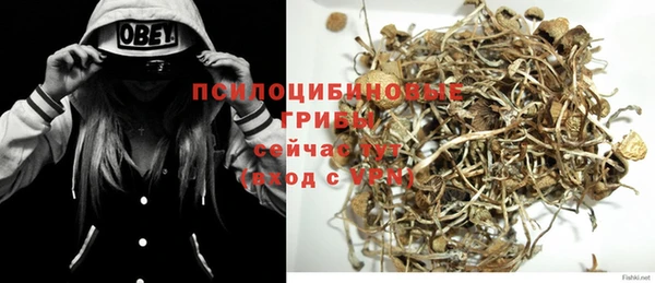 соль курить ск Белокуриха